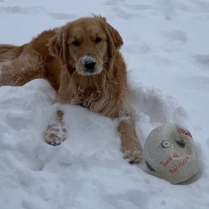 Meet your Posher, Addison